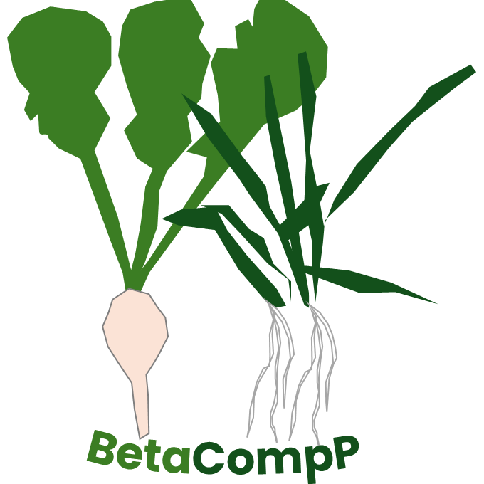 betacompp_logo_entwurf.png