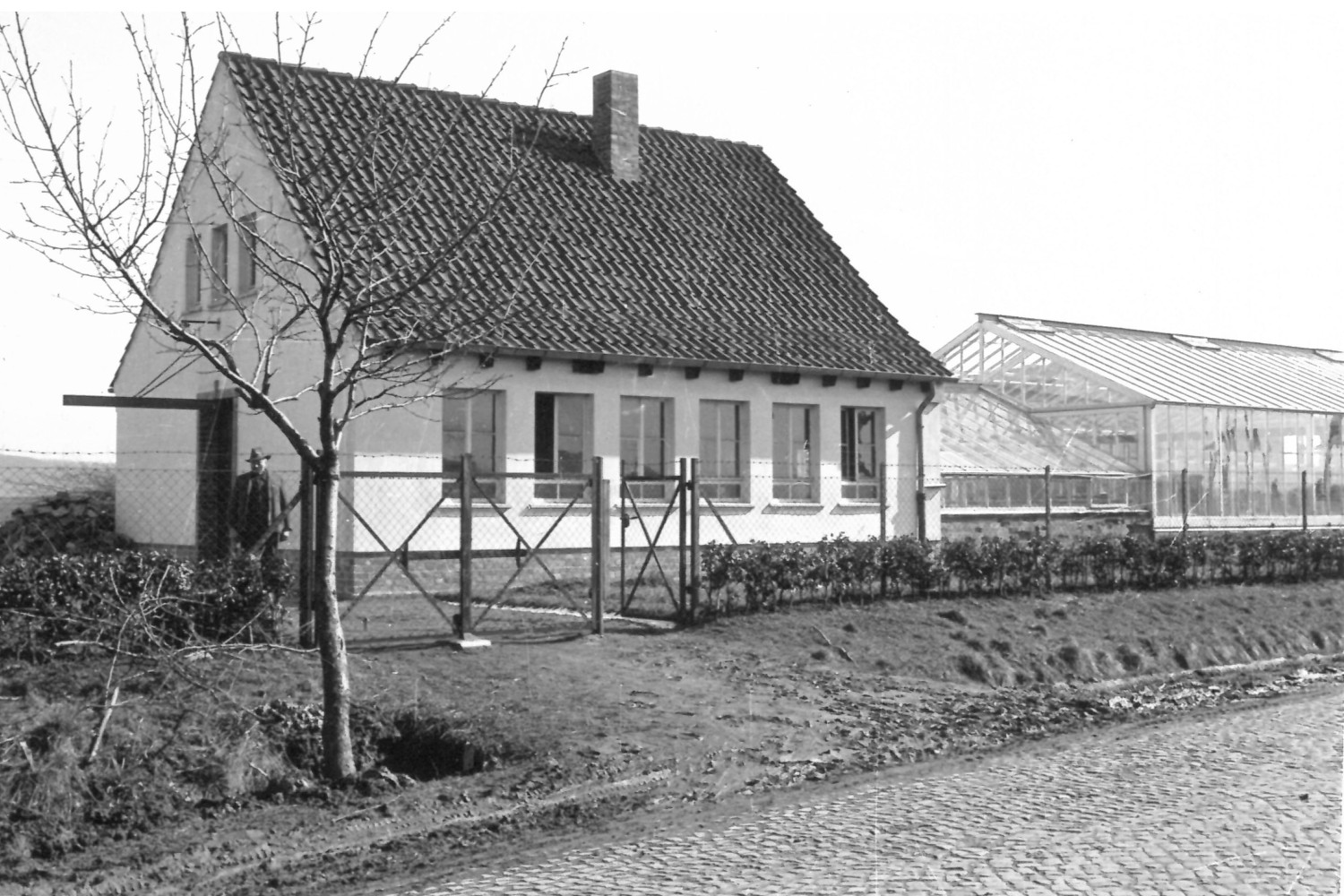 Schwarz-Weiß-Bild Haus mit Gewäschshausanbau