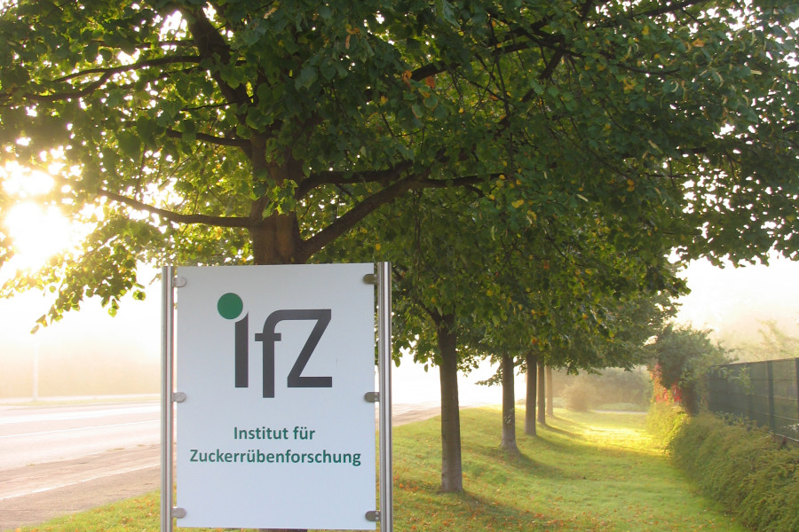 Schild unter Bäumen am Straßenrand mit IfZ-Logo