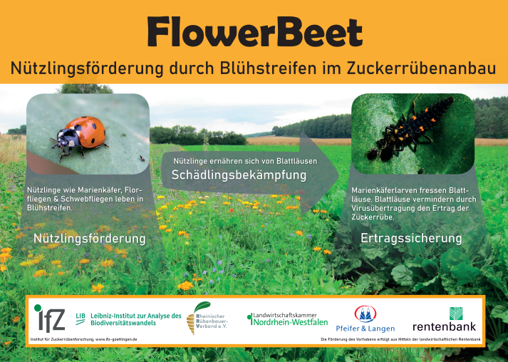 Informationsschilder für die Zuckerrübenfelder mit Blühstreifen