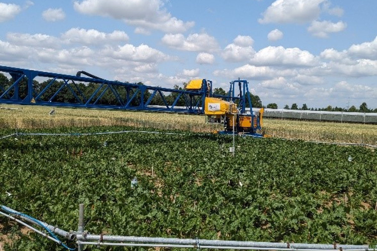 Sugar beet field surrounded by pipes and machinery
