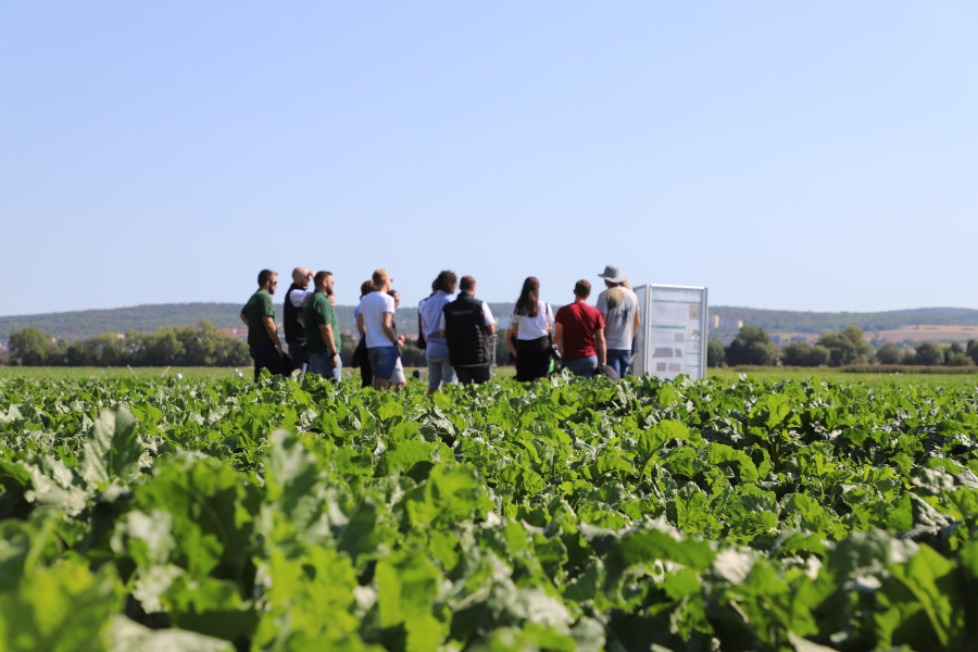 eine Gruppe von Personen im Feld, daneben ein Ständer mit Postern